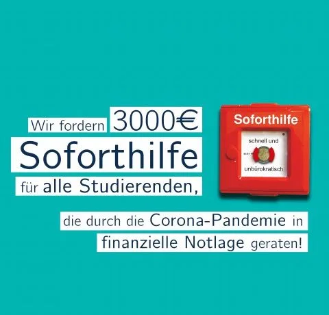 Bild/Foto
