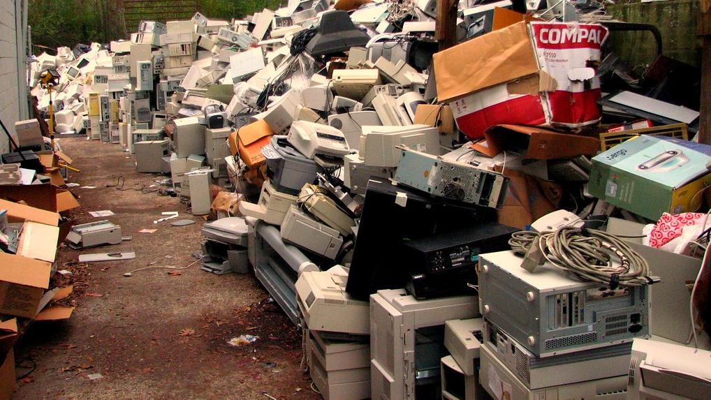 Bits & Bäume: Funktionierende Systeme werden systematisch zu Abfall gemacht